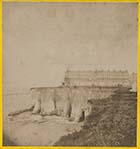  Fort cliffs and Fort Crescent from Beach [James Stodart] | Margate History